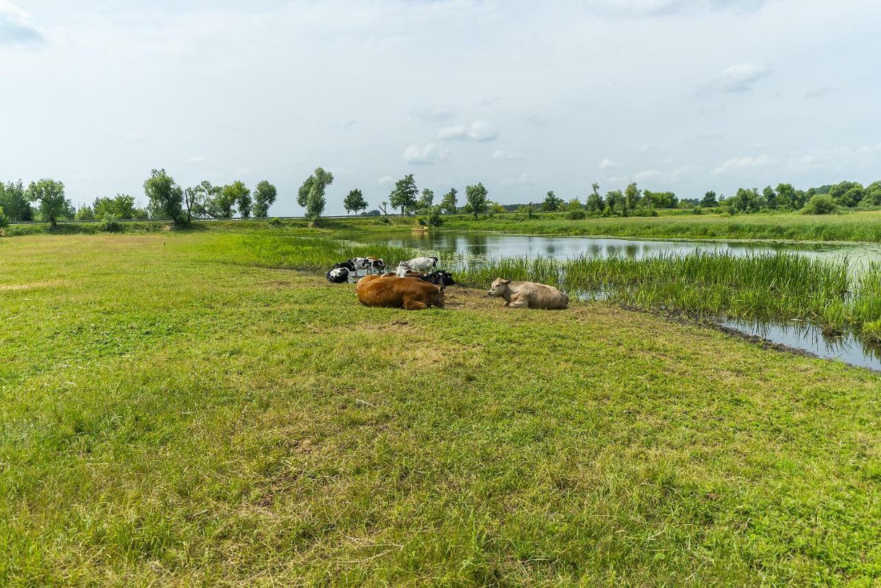 Carski Trakt Homestay Wizna
